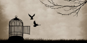 free